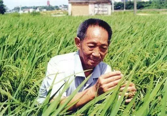 一日三餐，米香彌漫，飽食者當(dāng)憶袁公！