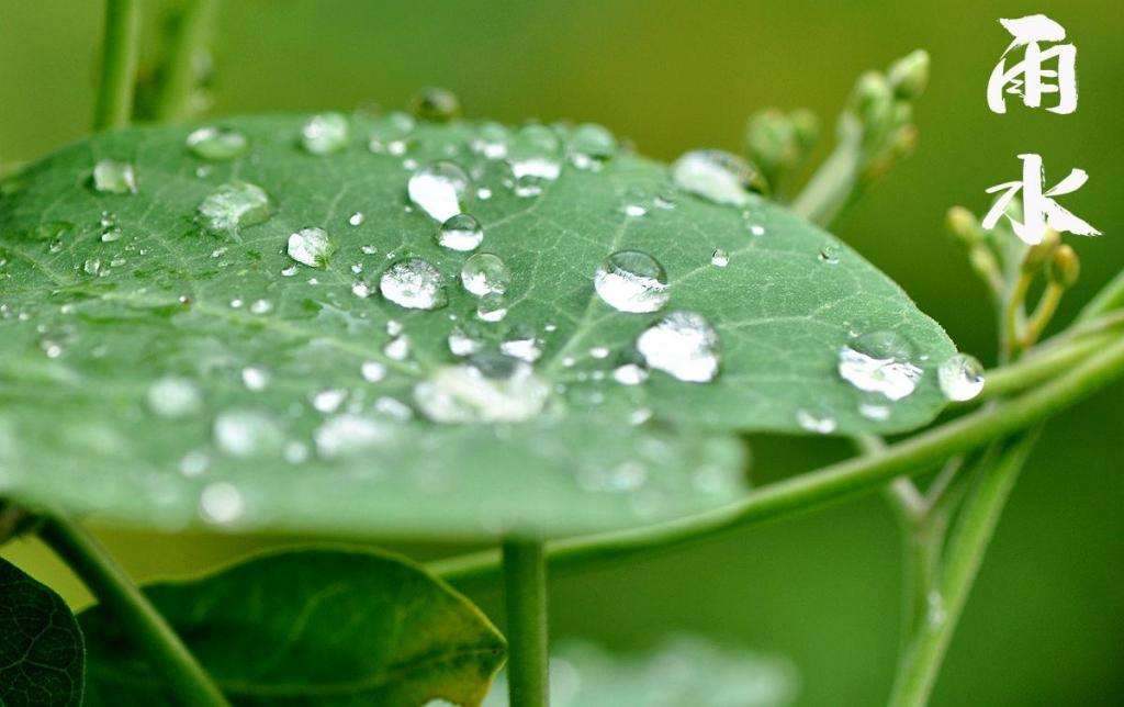 雨水！