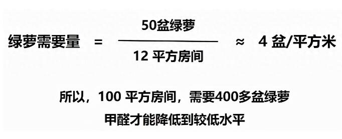 公司用綠蘿除甲醛，到底靠不靠譜？